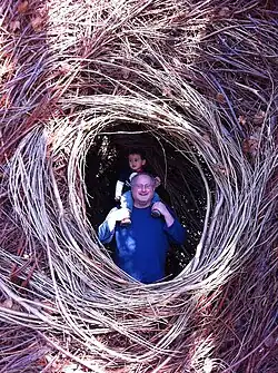 Visitors playing in the sculpture Whiplash