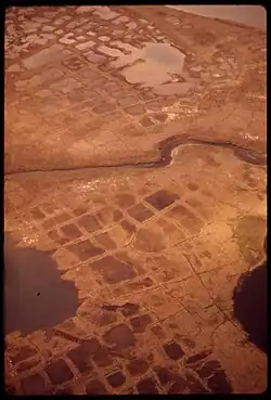 Patterned ground in Alaska. The center is lower; hence full of water. This scene is like low-center polygons on Mars—but with water.