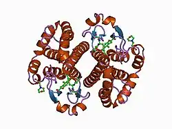 11gs: GLUTATHIONE S-TRANSFERASE COMPLEXED WITH ETHACRYNIC ACID-GLUTATHIONE CONJUGATE (FORM II)