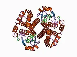 19gs: GLUTATHIONE S-TRANSFERASE P1-1