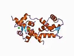 1a2x: COMPLEX OF TROPONIN C WITH A 47 RESIDUE (1-47) FRAGMENT OF TROPONIN I