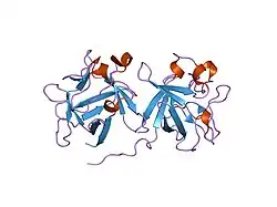 1bar: THREE-DIMENSIONAL STRUCTURES OF ACIDIC AND BASIC FIBROBLAST GROWTH FACTORS