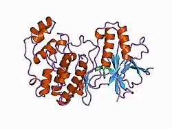1bl7: The complex structure of the MAP kinase p38/SB220025