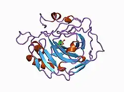 1bnw: CARBONIC ANHYDRASE II INHIBITOR