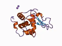 1c7p: CRYSTAL STRUCTURE OF MUTANT HUMAN LYSOZYME WITH FOUR EXTRA RESIDUES (EAEA) AT THE N-TERMINAL
