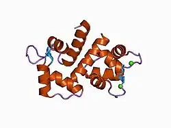 1cdm: MODULATION OF CALMODULIN PLASTICITY IN MOLECULAR RECOGNITION ON THE BASIS OF X-RAY STRUCTURES