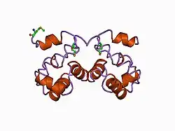 1ci4: THE CRYSTAL STRUCTURE OF HUMAN BARRIER-TO-AUTOINTEGRATION FACTOR (BAF)