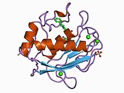 1ciz: X-RAY STRUCTURE OF HUMAN STROMELYSIN CATALYTIC DOMAIN COMPLEXES WITH NON-PEPTIDE INHIBITORS: IMPLICATION FOR INHIBITOR SELECTIVITY