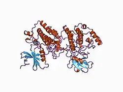 1ckj: CASEIN KINASE I DELTA TRUNCATION MUTANT CONTAINING RESIDUES 1-317 COMPLEX WITH BOUND TUNGSTATE
