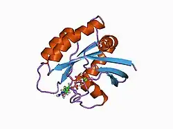 1crq: THE SOLUTION STRUCTURE AND DYNAMICS OF RAS P21. GDP DETERMINED BY HETERONUCLEAR THREE AND FOUR DIMENSIONAL NMR SPECTROSCOPY