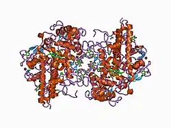 1d2v: CRYSTAL STRUCTURE OF BROMIDE-BOUND HUMAN MYELOPEROXIDASE ISOFORM C AT PH 5.5