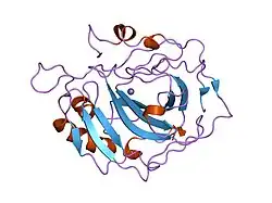 1dca: STRUCTURE OF AN ENGINEERED METAL BINDING SITE IN HUMAN CARBONIC ANHYDRASE II REVEALS THE ARCHITECTURE OF A REGULATORY CYSTEINE SWITCH