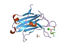 1dsy: C2 DOMAIN FROM PROTEIN KINASE C (ALPHA) COMPLEXED WITH CA2+ AND PHOSPHATIDYLSERINE