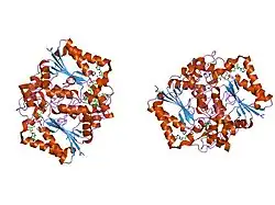 1dxo: CRYSTAL STRUCTURE OF HUMAN NAD[P]H-QUINONE OXIDOREDUCTASE CO WITH 2,3,5,6,TETRAMETHYL-P-BENZOQUINONE (DUROQUINONE) AT 2.5 ANGSTROM RESOLUTION