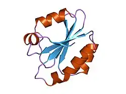 1erw: HUMAN THIOREDOXIN DOUBLE MUTANT WITH CYS 32 REPLACED BY SER AND CYS 35 REPLACED BY SER