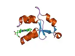 1es1: CRYSTAL STRUCTURE OF VAL61HIS MUTANT OF TRYPSIN-SOLUBILIZED FRAGMENT OF CYTOCHROME B5