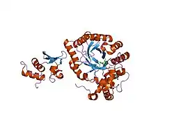 1exb: STRUCTURE OF THE CYTOPLASMIC BETA SUBUNIT-T1 ASSEMBLY OF VOLTAGE-DEPENDENT K CHANNELS