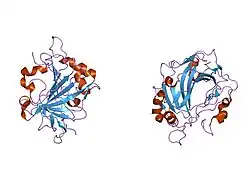1fsr: X-RAY CRYSTAL STRUCTURE OF COPPER-BOUND F93S/F95L/W97M CARBONIC ANHYDRASE (CAII) VARIANT