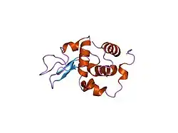 1ge2: CRYSTAL STRUCTURE OF MUTANT HUMAN LYSOZYME SUBSTITUTED AT LEFT-HANDED HELICAL POSITIONS