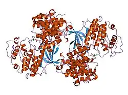 1h24: CDK2/CYCLIN A IN COMPLEX WITH A 9 RESIDUE RECRUITMENT PEPTIDE FROM E2F