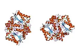 1h69: CRYSTAL STRUCTURE OF HUMAN NAD[P]H-QUINONE OXIDOREDUCTASE CO WITH 2,3,5,6,TETRAMETHYL-P-BENZOQUINONE (DUROQUINONE) AT 2.5 ANGSTROM RESOLUTION
