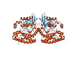 1he1: CRYSTAL STRUCTURE OF THE COMPLEX BETWEEN THE GAP DOMAIN OF THE PSEUDOMONAS AERUGINOSA EXOS TOXIN AND HUMAN RAC