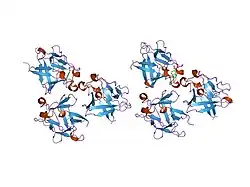 1hkn: A COMPLEX BETWEEN ACIDIC FIBROBLAST GROWTH FACTOR AND 5-AMINO-2-NAPHTHALENESULFONATE