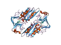 1hmp: THE CRYSTAL STRUCTURE OF HUMAN HYPOXANTHINE-GUANINE PHOSPHORIBOSYLTRANSFERASE WITH BOUND GMP