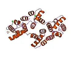 1hve: STRUCTURAL AND ELECTROPHYSIOLOGICAL ANALYSIS OF ANNEXIN V MUTANTS. MUTAGENESIS OF HUMAN ANNEXIN V, AN IN VITRO VOLTAGE-GATED CALCIUM CHANNEL, PROVIDES INFORMATION ABOUT THE STRUCTURAL FEATURES OF THE ION PATHWAY, THE VOLTAGE SENSOR AND THE ION SELECTIVITY FILTER