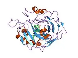 1i9q: CARBONIC ANHYDRASE II (F131V) COMPLEXED WITH 4-(AMINOSULFONYL)-N-[(3,4,5-TRIFLUOROPHENYL)METHYL]-BENZAMIDE