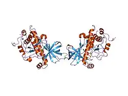 1iah: CRYSTAL STRUCTURE OF THE ATYPICAL PROTEIN KINASE DOMAIN OF A TRP CA-CHANNEL, CHAK (ADP-MG COMPLEX)