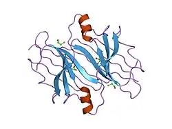 1ijn: Crystal structure of the transthyretin mutant TTR C10A/Y114C
