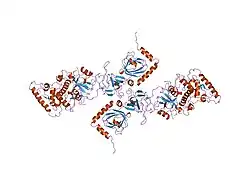 1iyj: STRUCTURE OF A BRCA2-DSS1 COMPLEX