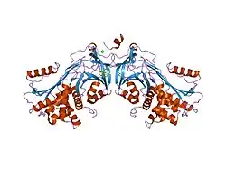 1jmj: Crystal Structure of Native Heparin Cofactor II