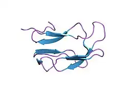 1k8m: Solution Structure of the Lipoic Acid-Bearing Domain of the E2 component of Human, Mitochondrial Branched-Chain alpha-Ketoacid Dehydrogenase