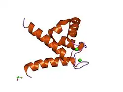 1k96: CRYSTAL STRUCTURE OF CALCIUM BOUND HUMAN S100A6