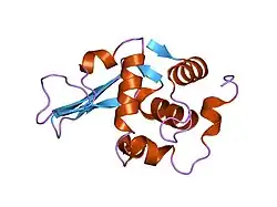 1laa: X-RAY STRUCTURE OF GLU 53 HUMAN LYSOZYME