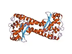 1luw: CATALYTIC AND STRUCTURAL EFFECTS OF AMINO-ACID SUBSTITUTION AT HIS 30 IN HUMAN MANGANESE SUPEROXIDE DISMUTASE: INSERTION OF VAL CGAMMA INTO THE SUBSTRATE ACCESS CHANNEL