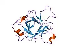 1md6: High resolution crystal structure of murine IL-1F5 reveals unique loop conformation for specificity