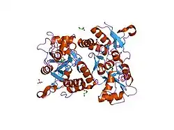 1mm6: crystal structure of the GluR2 ligand binding core (S1S2J) in complex with quisqualate in a non zinc crystal form at 2.15 angstroms resolution