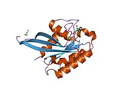 1n6l: Crystal Structure of Human Rab5a A30P mutant complex with GTP