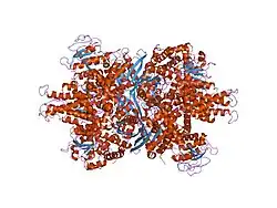 1nr1: Crystal structure of the R463A mutant of human Glutamate dehydrogenase