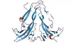 1nyu: Crystal Structure of Activin A Bound to the ECD of ActRIIB
