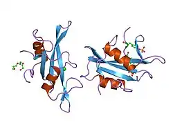 1nzl: Crystal Structure of Src SH2 domain bound to doubly phosphorylated peptide PQpYEpYIPI