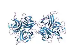 1osg: Complex between BAFF and a BR3 derived peptide presented in a beta-hairpin scaffold