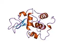 1oud: CONTRIBUTION OF HYDROPHOBIC RESIDUES TO THE STABILITY OF HUMAN LYSOZYME: X-RAY STRUCTURE OF THE V121A MUTANT