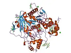 1p0p: Crystal structure of soman-aged human butyryl cholinesterase in complex with the substrate analog butyrylthiocholine