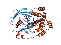 1ptt: CRYSTAL STRUCTURE OF PROTEIN TYROSINE PHOSPHATASE 1B COMPLEXED WITH PHOSPHOTYROSINE-CONTAINING TETRA-PEPTIDE (AC-DEPYL-NH2)