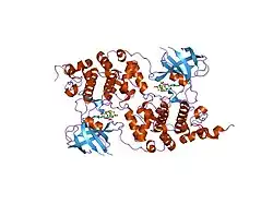 1pyx: GSK-3 Beta complexed with AMP-PNP