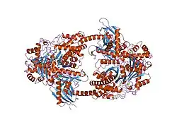 1qha: HUMAN HEXOKINASE TYPE I COMPLEXED WITH ATP ANALOGUE AMP-PNP